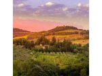 Poderi in Chianti