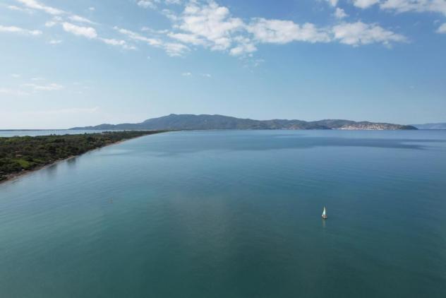 Fiori e Piante in vendita a Orbetello - Foto 4