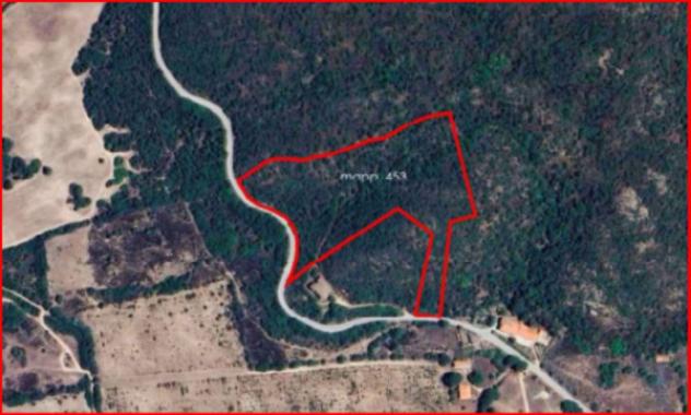 Immobile in asta di 20085 m² in vendita a Viddalba - Foto 11