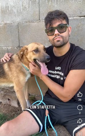 MOCKY CERCA UN AMICO AMOREVOLE CUCCIOLO IN ADOZIONE - Foto 9