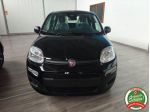 FIAT Pandina 1.0 FireFly 65 CV Hybrid Icon rif. 24112355