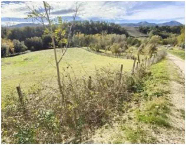 Immobile in asta di 327 m² in vendita a Pergola - Foto 15