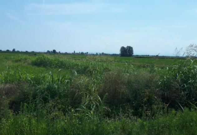 Immobile in asta di 210 m², box auto in vendita a Gambarana - Foto 4