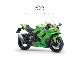 KAWASAKI Ninja 1000 ZX-10R R rif. 23018368