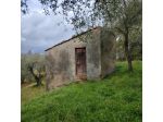 Terreno edif. residenziale in vendita a Trebiano - Arcola 6000 mq  Rif: 1295498