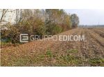 Terreno di 3345 mq  in vendita a Fiume Veneto - Rif. 4557836