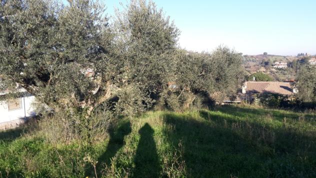 Terreno edificabile in vendita a Morlupo - Foto 4