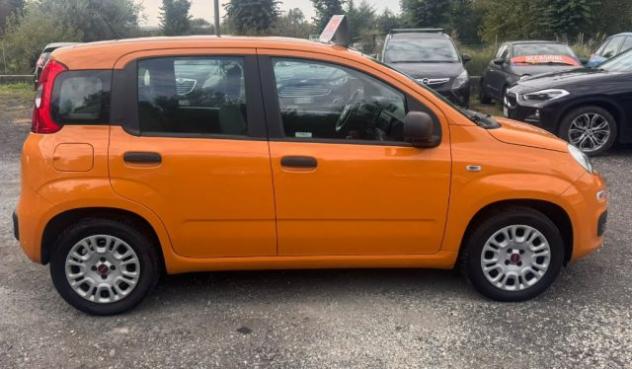 FIAT Panda 1.2 rif. 24113956 - Foto 8