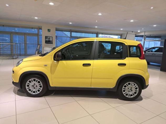 Fiat Panda Pandina III 2024 Pandina 1.0 firefly hybrid s - Foto 9