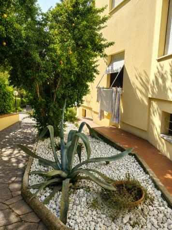 Appartamento in vendita a Castiglioncello - Rosignano Marittimo 40 mq Rif: 1432633 - Foto 2