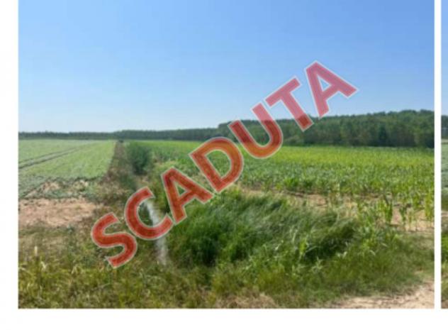 Immobile in asta di 21 m² in vendita a Villimpenta