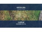 Immobile in asta di 4 m² in vendita a Ascea