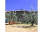 Casa Carbonaia