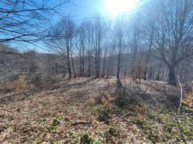 Immobile in asta di 130855 m² in vendita a Verghereto - Foto 13