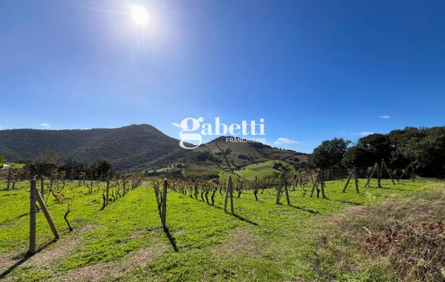 Terreno Residenziale - Budoni . Rif.: Cod. rif 3261193VRG - Foto 12