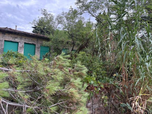 Casa singola in vendita a Bibbona 210 mq Rif: 1448535 - Foto 5
