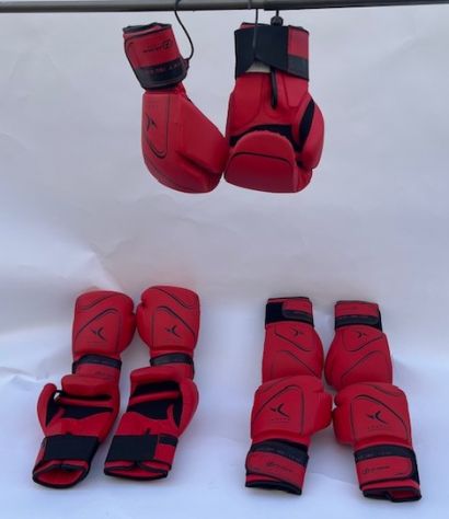 Guantoni da Boxe Domyos