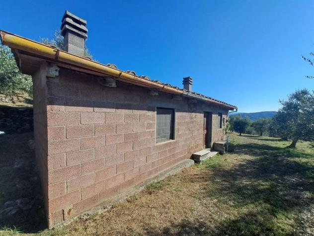 Valdambra - Annesso in Muratura con Terreno e Uliveto - Rif. C10 - Foto 6