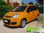 FIAT Panda 1.2 EASY rif. 23983691