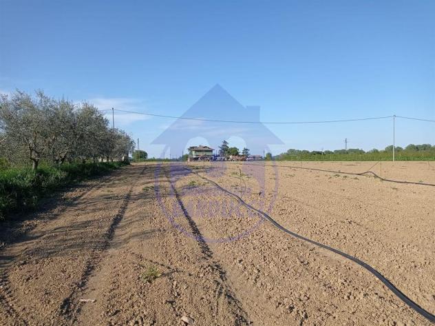 Cesenatico terreno per fotovoltaico - Foto 2