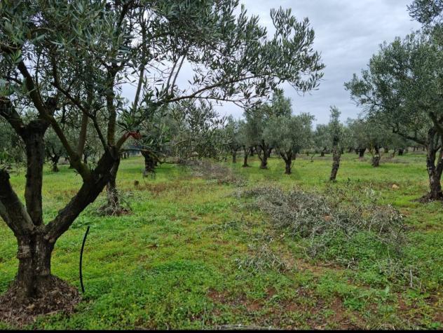 Terreno in vendita a Vittoria - Foto 12