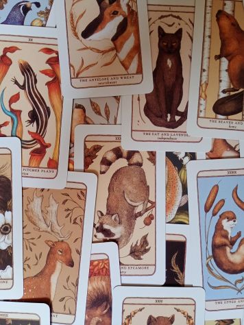 Astrologia e tarocchi (consulti professionali via WhatsApp ed e-mail) - Foto 5