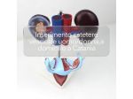 INSERIMENTO/RIMOZIONE CATETERE VESCICALE A DOMICILIO CATANIA