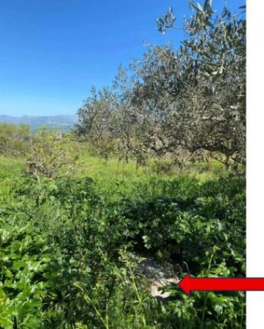 Immobile in asta di 2217 m² in vendita a Corleone - Foto 4