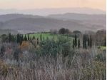 Terreno agricolo in vendita a Palaia 168560 mq  Rif: 1280359