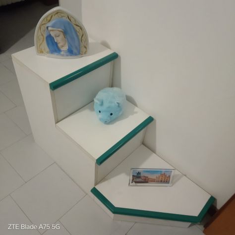 Donna per pulizie