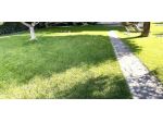 Appartamento in vendita a Montelupo Fiorentino 255 mq  Rif: 1268731