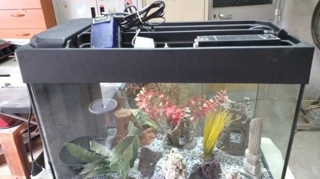 ACQUARIO 60x30x47 - Foto 4