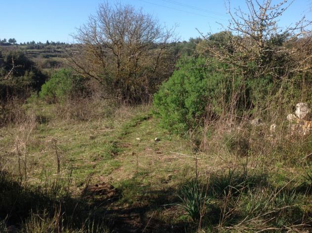 Seminativo in vendita a Siracusa
