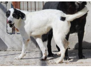 GIANNA E’ RIMASTA SOLA