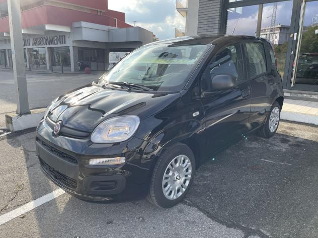 FIAT Panda KM0 - 1.0 FireFly S&S Hybrid - Foto 2
