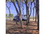 Ai Delfini S.n.c. di Morettoni Sergio & C.