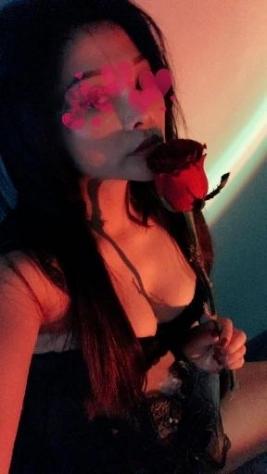 Cometa Tel:3444215678