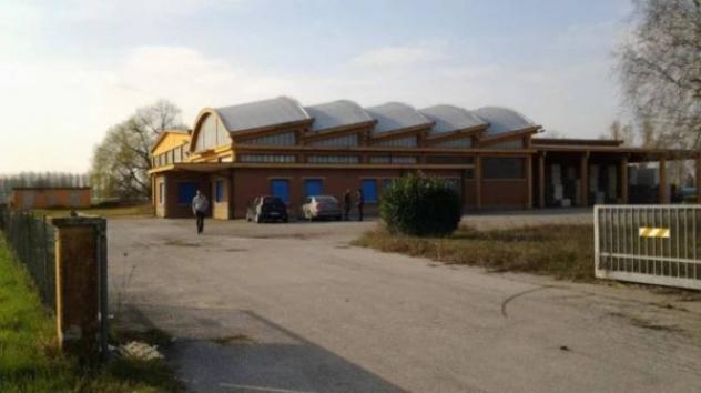 Immobile in asta di 2145 m² in vendita a Casalmaggiore - Foto 5