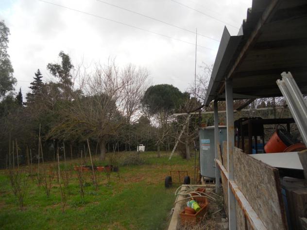 Terreno agricolo in vendita a Livorno 2000 mq Rif: 1023871 - Foto 4