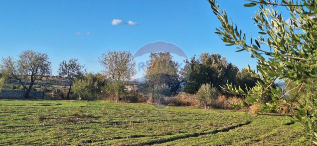 Terreno in vendita a Rosolini - Foto 5