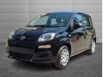 FIAT Pandina 1.0 FireFly 65cv S&S 6m Hybrid Pop