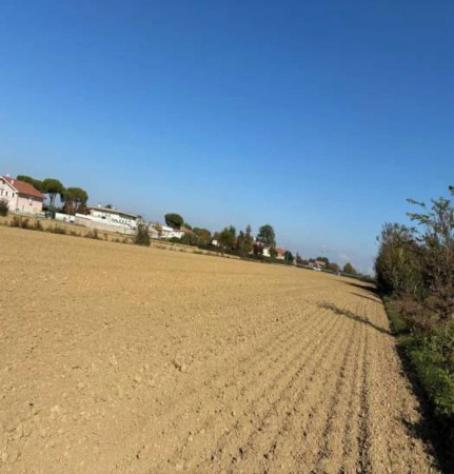 Immobile in asta di 27556 m² in vendita a Cesena - Foto 2