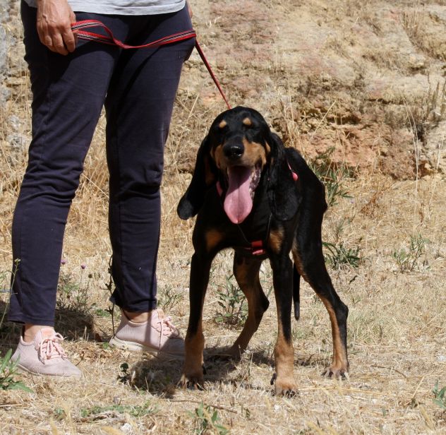 Bea in adozone - Foto 7