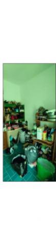 Immobile in asta di 101 m² in vendita a Calangianus - Foto 19