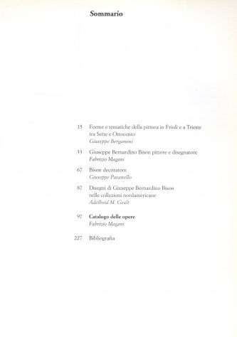 BISON - Foto 2