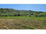 Uliveto in vendita a Castel Frentano
