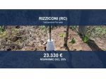 Immobile in asta di 6650 m² in vendita a Rizziconi