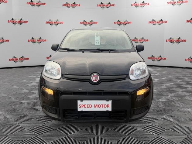 FIAT Panda Panda 1.0 firefly hybrid 70cv 5 POSTI, SENSORI PARCHEGGIO! - Foto 2