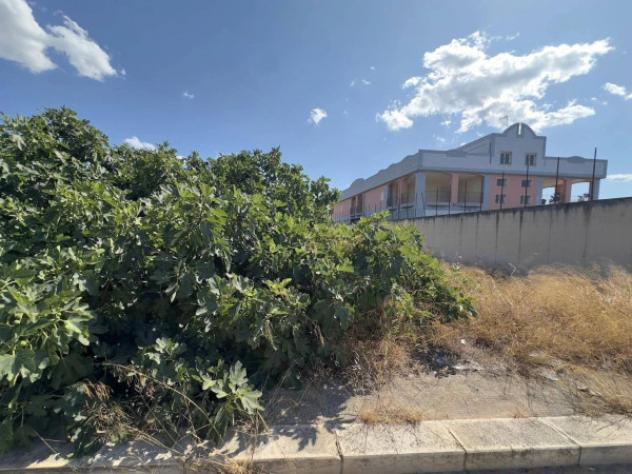 Immobile in asta di 13458 m² in vendita a Andria - Foto 5