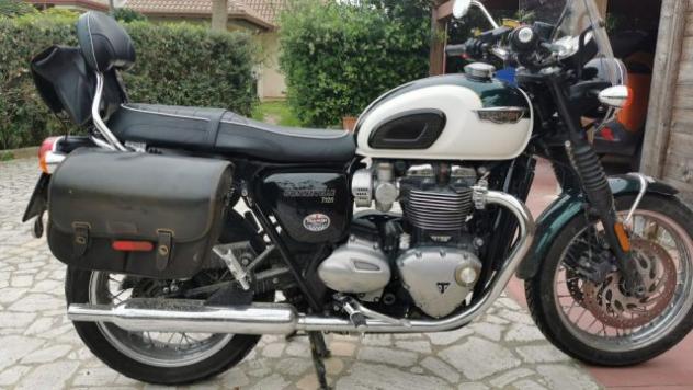 TRIUMPH Dolomite BONNEVILLE T120 rif. 24079056